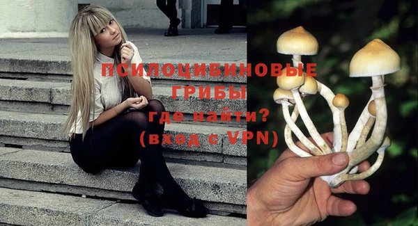 Альфа ПВП Лагань