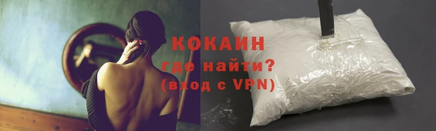 Альфа ПВП Лагань