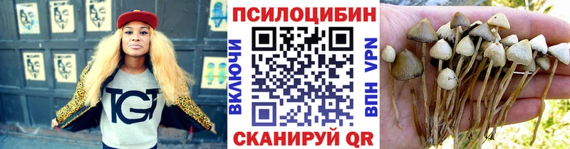 Псилоцибиновые грибы Psilocybe  как найти наркотики  Батайск 