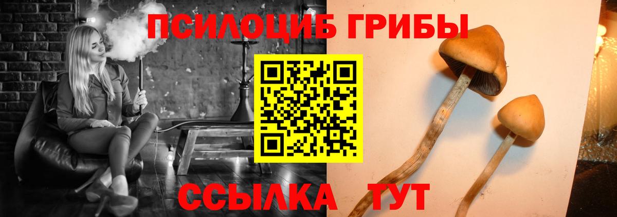 Псилоцибиновые грибы MAGIC MUSHROOMS Батайск