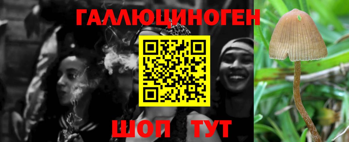 Галлюциногенные грибы GOLDEN TEACHER  Батайск 